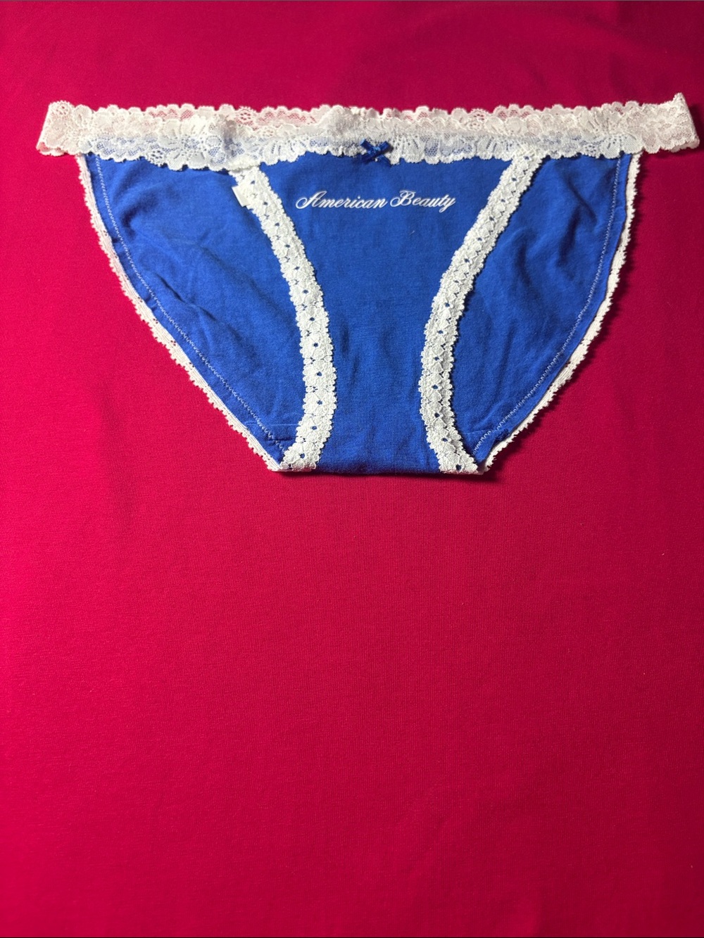 PINK Victoria's Secret Blue Bikini Panty with White Lace Trim